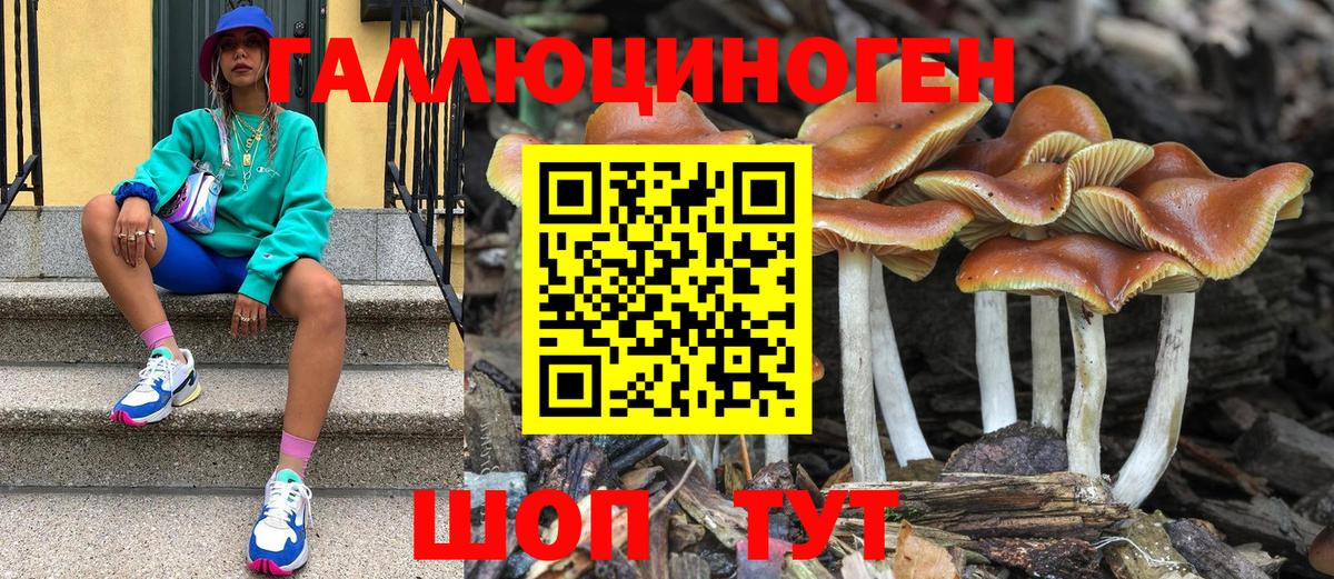 Галлюциногенные грибы Cubensis  Вход с VPN  Якутск 